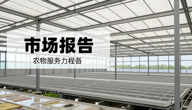信息咨询市场分析中数据准确性的影响因素